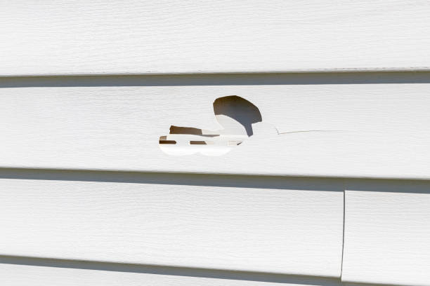 Best Storm Damage Siding Repair  in Maynardville, TN